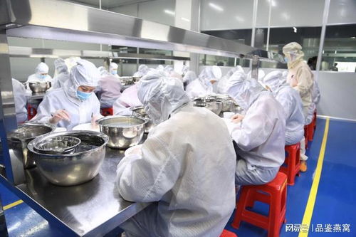2025燕窩行業(yè)頭部加工廠探索 燕窩工廠代加工現(xiàn)狀與技術服務分析