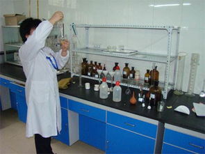 廣州優(yōu)質(zhì)食品級(jí)堿式碳酸鎂價(jià)格分析與技術(shù)推廣